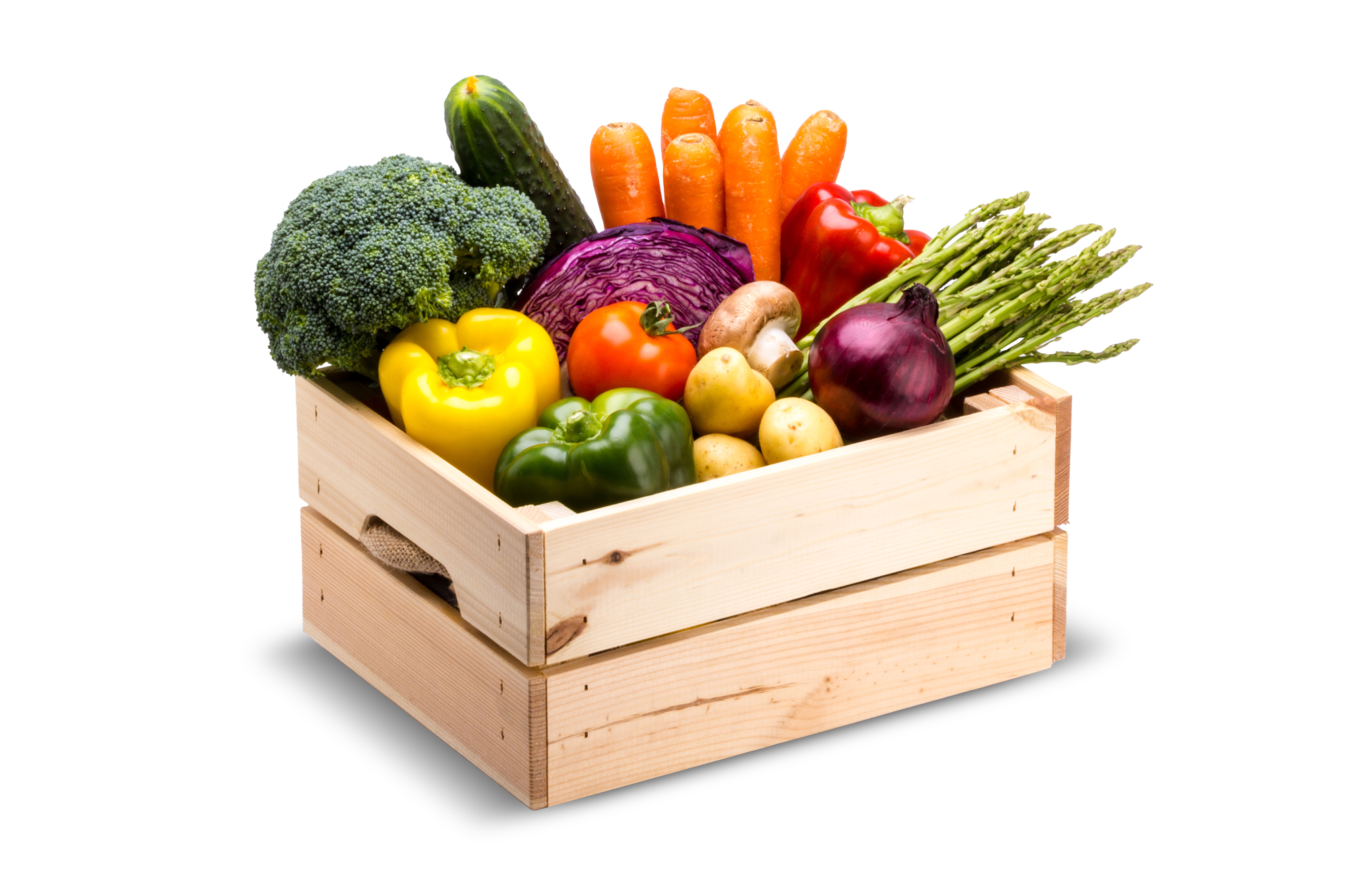 AdobeStock_223017721.png
